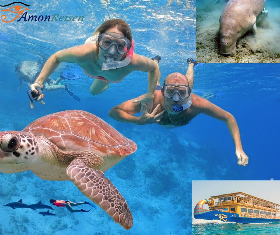 Marsa alam Ausflüge amonreisen